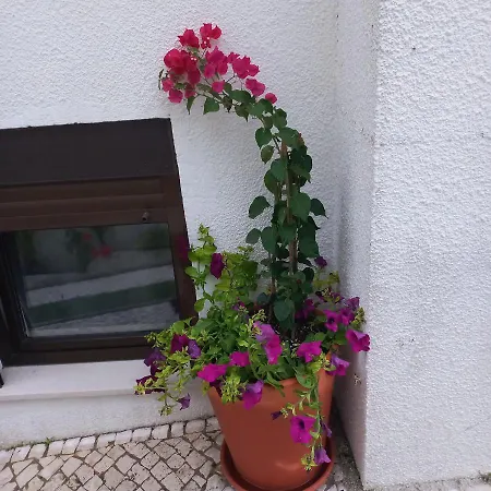 Apartment Bela Vista Nazaré