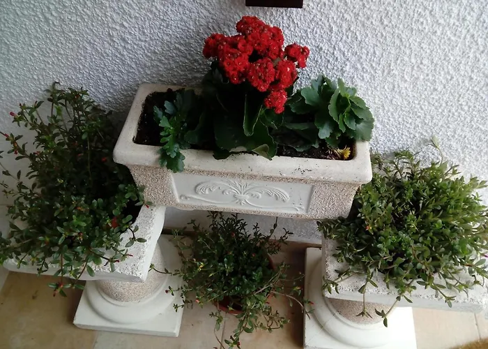 Apartamento Bela Vista *