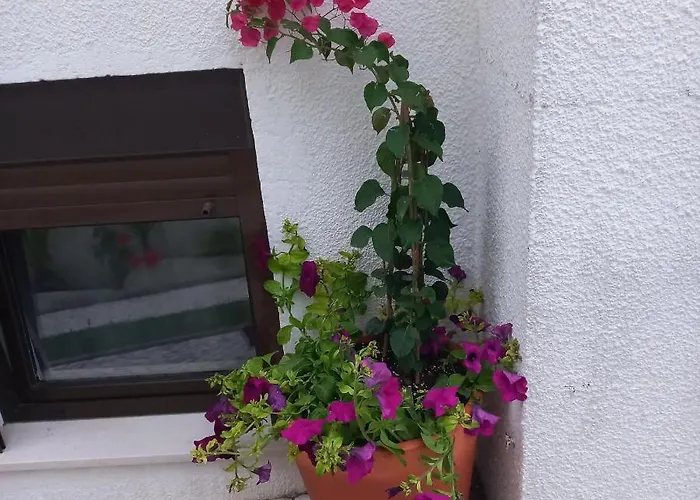 Apartamento Bela Vista Nazaré